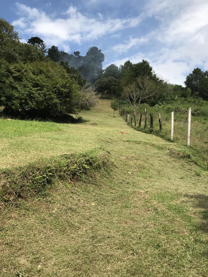 Cabana Mountain View 埃雷迪亚 外观 照片